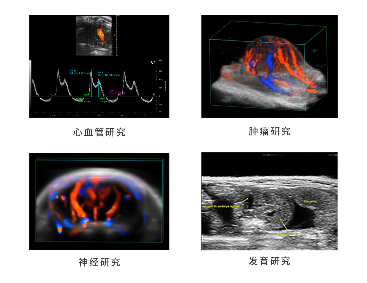 1711348439519134.png 1711348439519134.png